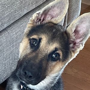 Meet your Posher, Nancy